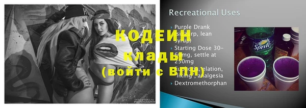 спиды Инсар