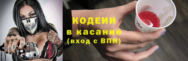 спиды Инсар