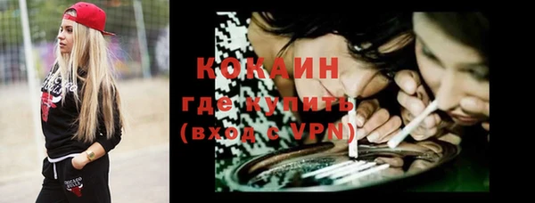 индика Нефтегорск