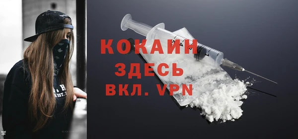 спиды Инсар
